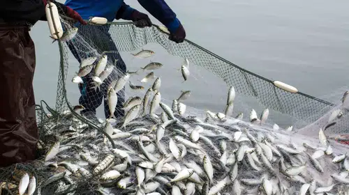 Muğla’da dış ticaret rüzgarı tersine döndü: İhracat rakamlarında rekor artış