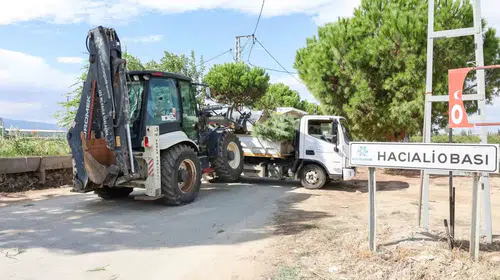 Hacıaliobası’nın çehresi değişti: Büyükşehir’den yeşil dokuya estetik dokunuş