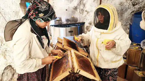 Çam balının kalbinde haksız rekabet sancısı: Saf üretici emeğinin peşinde