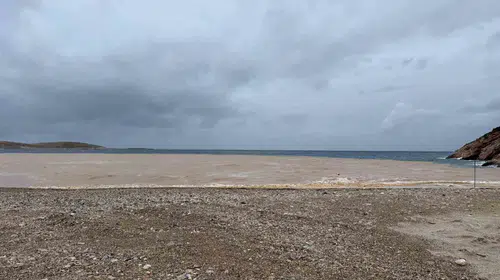 Datça’da sağanak yağışın ardından kıyılar renk değiştirdi: Palamutbükü’nde çamur alarmı