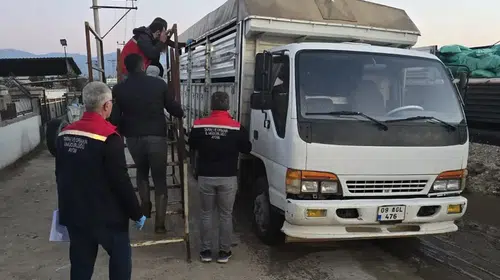 Nazilli'de hayvan pazarına sıkı takip: Eksik evrakı olana geçit yok