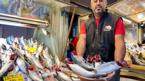 İzmir'de balık bereketi: Palamut fiyatı görenleri şaşkına çevirdi