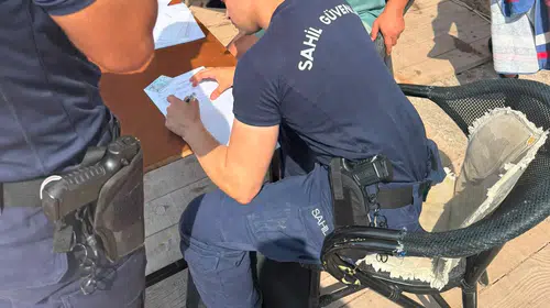 Marmaris sahillerinde skandal görüntü: Kılıç balığını kıyıya sürükleyen kişiye ceza yağdı