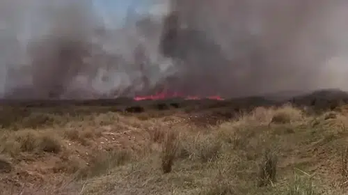 Denizli'de korkutan tarla yangını: Ekipler rüzgarla mücadele ediyor