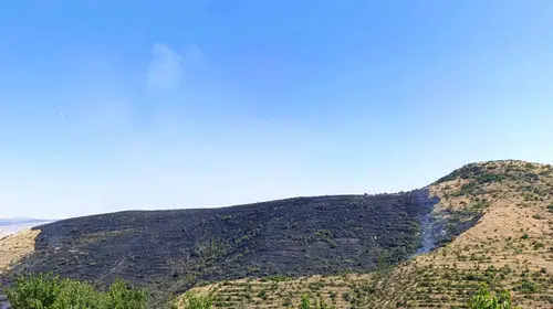Afyonkarahisar alevlere teslim oldu: 150 hektarlık alan küle döndü