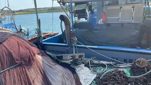 Didim'de deniz ekosistemi için kritik mesai: Ağlar tek tek incelendi