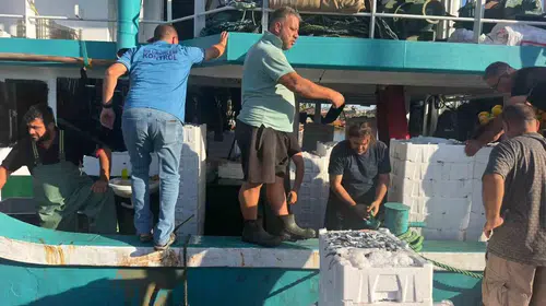 Didim sularında hamsi mesaisi: Gelecek nesiller için sıkı denetim