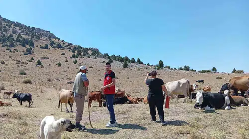 Anadolu’nun gen mirası Çay’da güvence altına alınıyor