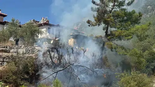 Akyaka'da alevler konutları tehdit etti: İtfaiyeden zamanında müdahale