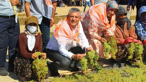 Çocukluk anılarının olduğu topraklarda çiftçiye seslendi: "Bağlar sökülmeden harekete geçilmeli"
