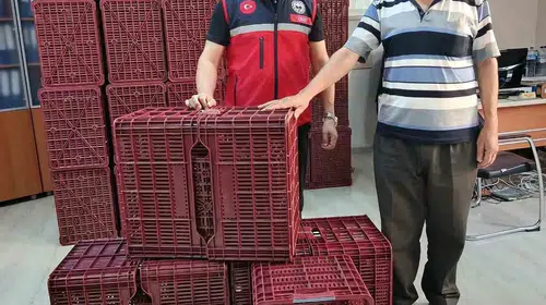 Köşk’te incir üreticisinin yüzü güldü: Hasada modern dokunuş