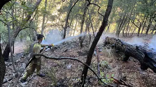 Dalaman’da gece mesaisi: Sarp arazideki alevler pes etmedi