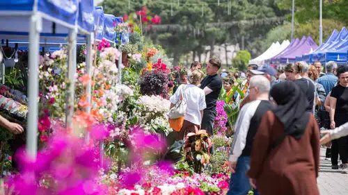 İzmir’de doğa ve lezzet şöleni: Kültürpark üreticiyle tüketiciyi buluşturuyor