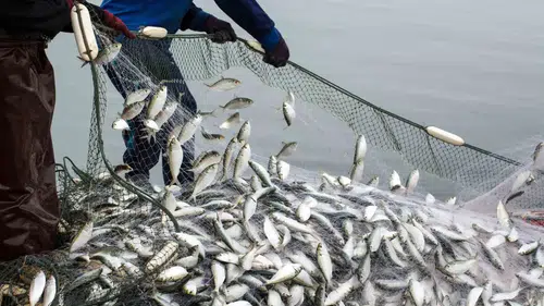 Muğla’da dış ticaret rüzgarı tersine döndü: İhracat rakamlarında rekor artış