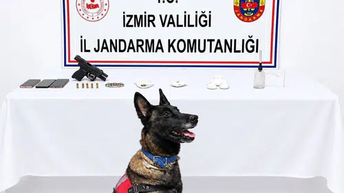 Bademler’de jandarma operasyonu: Hem uyuşturucu hem de hapis cezası çıktı