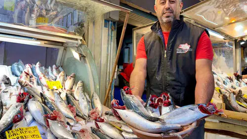 İzmir'de balık bereketi: Palamut fiyatı görenleri şaşkına çevirdi