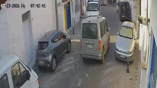 Menteşe’de kan donduran ihmal: Kedileri ezip yoluna devam etti