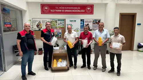 Köşk’te hasat dönemi öncesi seferberlik: Zararlılarla mücadeleye devlet eli değdi