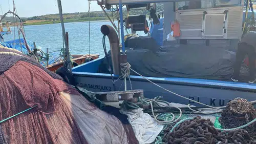 Didim'de deniz ekosistemi için kritik mesai: Ağlar tek tek incelendi