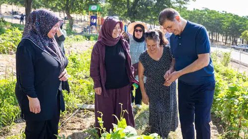 Kadifekale’de toprakla gelen huzur: Başkan Tugay üretici kadınlarla hasat yaptı