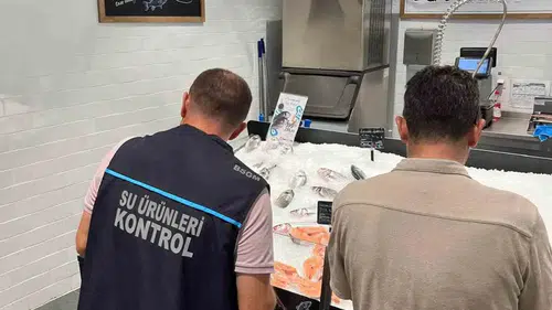 Didim’de taze balık sofralara güvenle ulaşsın diye denetim mesaisi