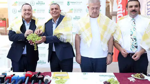 Manisa’da üzümün bereketi dört gün boyunca kutlanacak: Şehzadeler şenliğe hazırlanıyor