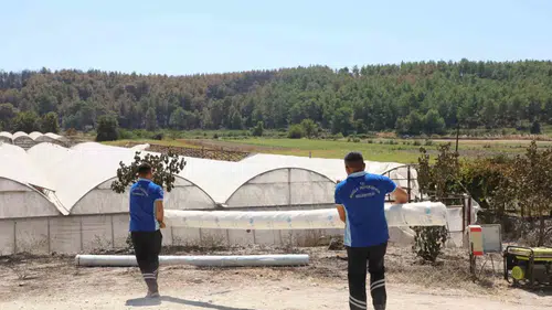 Seydikemer’de yangın sonrası hızlı dayanışma: Üretimin devamı için seferberlik