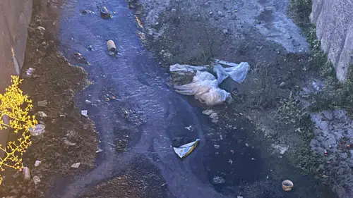Urla'da dere kirliliğine karşı gönüllü seferberlik çağrısı