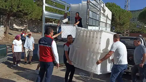 Sökeli incir üreticisine hijyen desteği: Kalite standartları yükseliyor