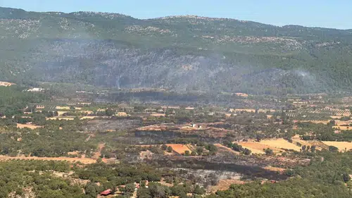Muğla’da alevlere karşı zamanla yarış: 90 saniyede dev müdahale