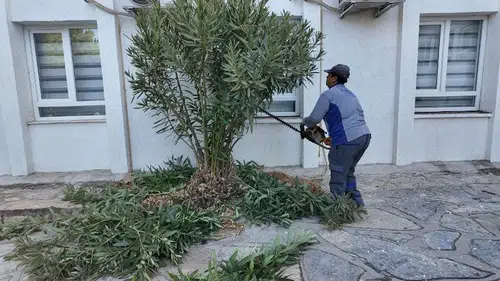 Bodrum’da ders zili öncesi hummalı hazırlık: Okullar baştan aşağı yenilendi