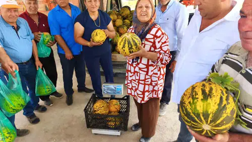 Susuz Tarlanın Gururu: Altınova’nın Bal Kıvamındaki Kavununa Yoğun İlgi