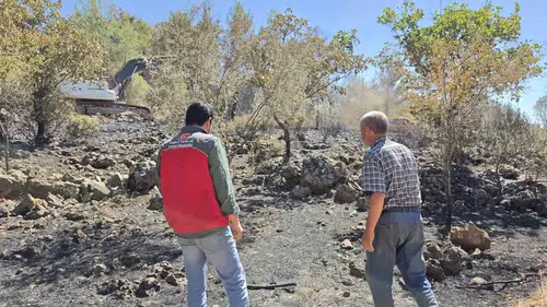 Menteşe'de yangının izleri siliniyor: Çiftçinin yaraları sarılacak