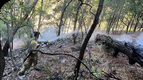 Dalaman’da gece mesaisi: Sarp arazideki alevler pes etmedi