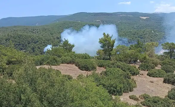 Aydın'da orman yangını: Ekipler alevleri söndürmek için seferber oldu