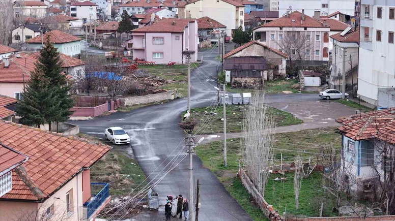 Mahallenin maskotu oldular, baharla birlikte yuvalarına döndüler