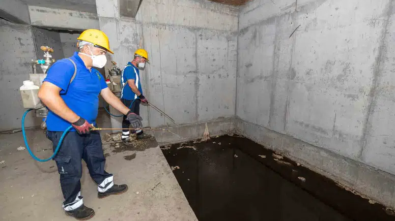 İnşaat temellerinde gizli tehlike: İzmir’de sivrisinek operasyonu