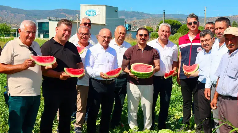 Sofraların kırmızı incisi Koçarlı’da gün yüzüne çıktı: Hasat bereketi başladı