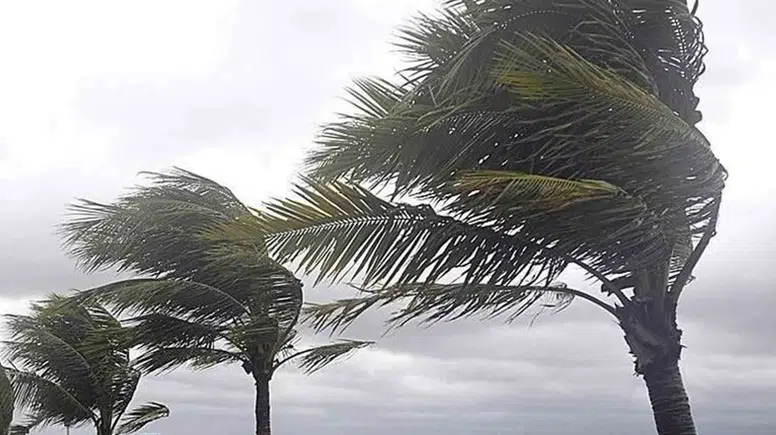 Muğla’da 8 İlçe İçin Kritik Meteorolojik Uyarı: Rüzgar Saatte 70 Kilometreye Ulaşacak