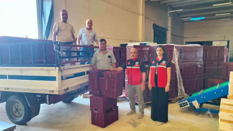 Nazilli’de İncir Üreticisine Hasat Öncesi Modern Kasa Desteği