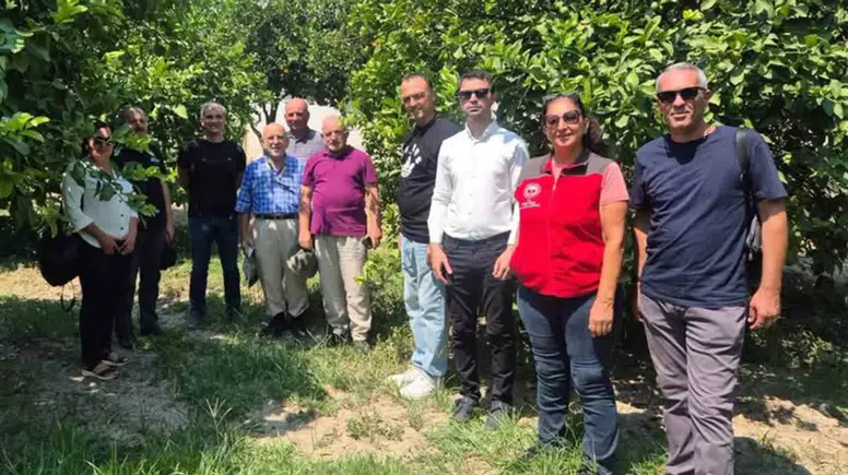 Muğla’da turunçgil bahçelerinde doğa dostu devrim: Zararlılarla biyolojik savaş