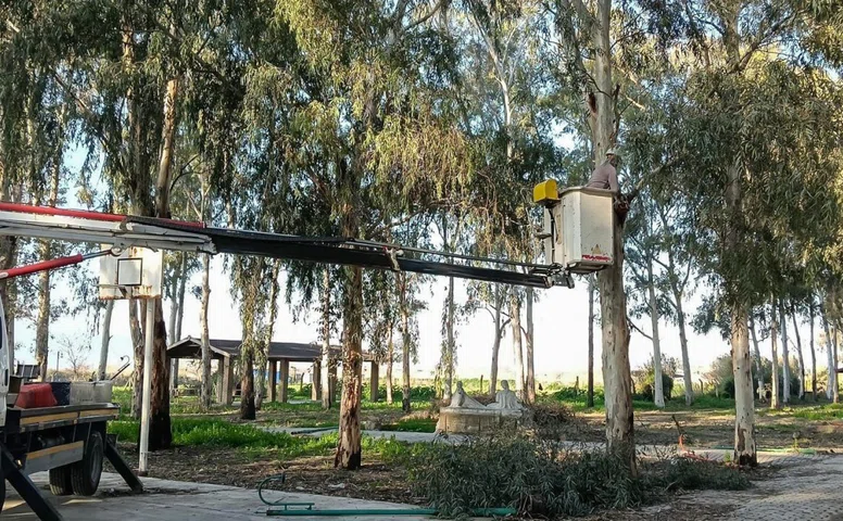 Tepecik Mesire Alanı yenileniyor