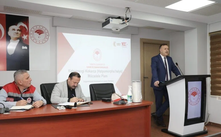 Trabzon’da kahverengi kokarca ile mücadelede yol haritası belirlendi