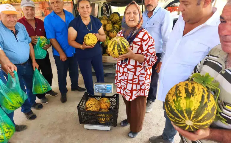 Susuz Tarlanın Gururu: Altınova’nın Bal Kıvamındaki Kavununa Yoğun İlgi