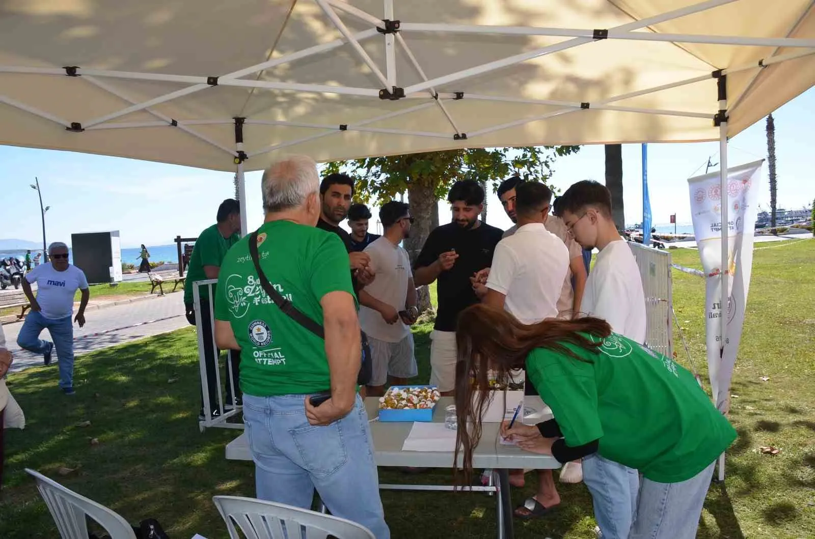 Didim’de zeytin şöleni: Tarihi tapınakta dev rekor denemesi