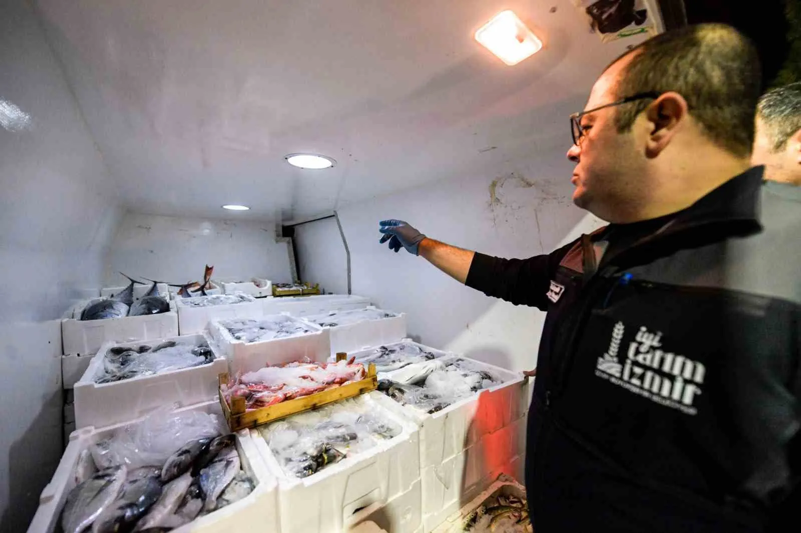 İzmir'in deniz bereketi sofralara taştı: Palamut rekor kırdı