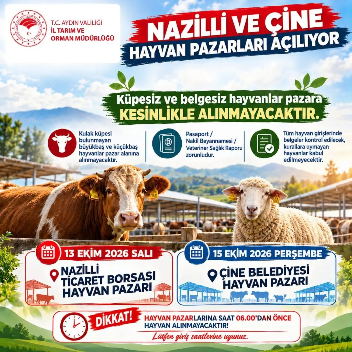 Aydınlı üreticilere müjde: Hayvan pazarlarında geri sayım başladı