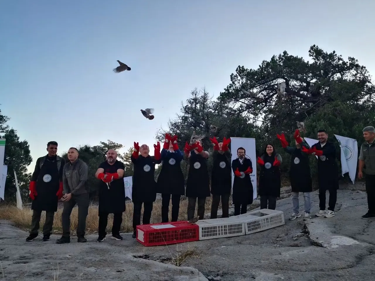 Doğanın dengesi için kanat çırptılar: 200 keklik yaban hayatına kazandırıldı