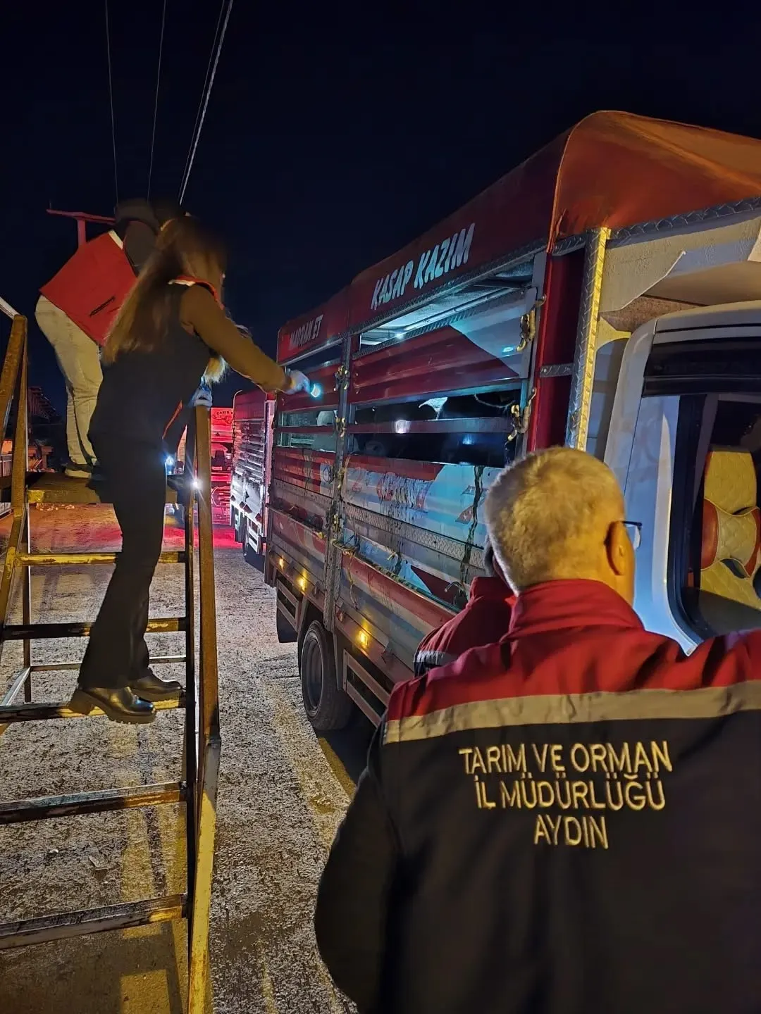 Nazilli'de hayvan pazarına sıkı takip: Eksik evrakı olana geçit yok