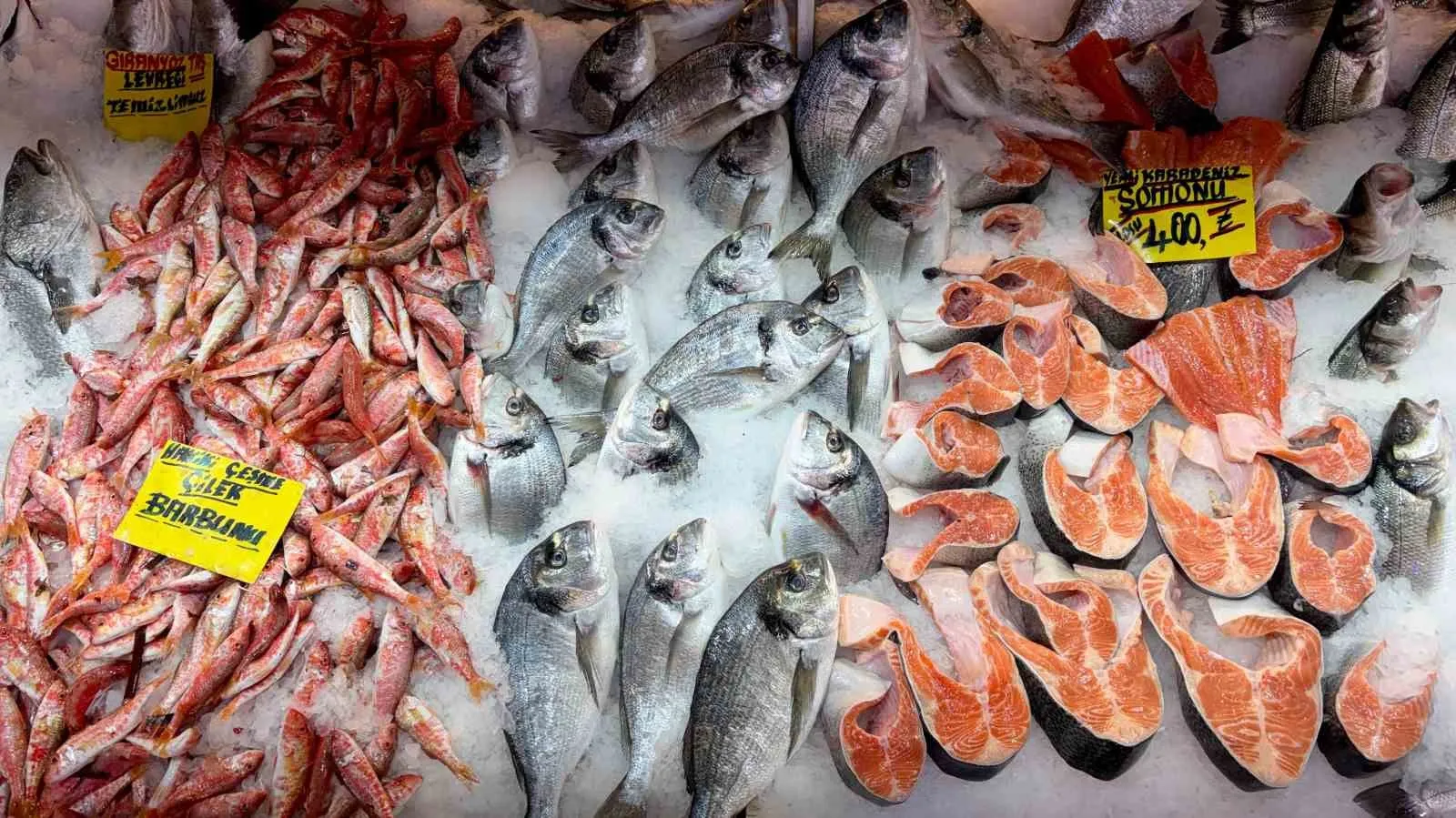 İzmir'de balık bereketi: Palamut fiyatı görenleri şaşkına çevirdi